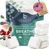 Shower Steamers Aromatherapy - USA Made with Natural Ingredients & Eucalyptus Essential Oil, Christmas Stocking Stuffers for Men & Women, Large Shower Bombs, White Elephant Relaxation Spa Gifts view 1