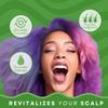 CB Smoothe Edge Growth Oil - Tea Tree, Peppermint & Jamaican Black Castor Hair Serum - Boosts Circulation & Regrowth - 4oz - 2-pack view 3