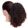 10 Inch for Women Curly Extension for Women Hair Extensions Ponytail Extension Makeup to Go to Halloween Concerts (Color : Brown B) view 1