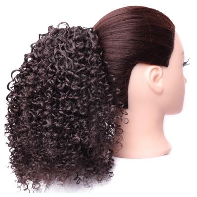10 Inch for Women Curly Extension for Women Hair Extensions Ponytail Extension Makeup to Go to Halloween Concerts (Color : Brown A)