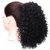 10 Inch for Women Curly Extension for Women Hair Extensions Ponytail Extension Makeup to Go to Halloween Concerts (Color : Black) view 1