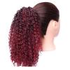 10 Inch for Women Curly Extension for Women Hair Extensions Ponytail Extension Makeup to Go to Halloween Concerts (Color : Red A) view 1