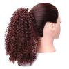 10 Inch for Women Curly Extension for Women Hair Extensions Ponytail Extension Makeup to Go to Halloween Concerts (Color : Red B) view 1