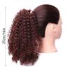 10 Inch for Women Curly Extension for Women Hair Extensions Ponytail Extension Makeup to Go to Halloween Concerts (Color : Red B) view 2