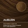 CONFIERR Keratin Hair Fibers for Men & Women - Fill In Fine or Thinning Hair, Instantly Thicker, Fuller Looking Hair (Auburn 30g) view 2
