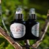 MOLFAR'S Carpatian Handmade ECO 100% Pure Beard oil Regular. Hydrating grain of two Recipe 2.12.4 Pumpkin Dogrose Grape seeds Oil Hazelnut Oil by Ukrainian Masters | For All Beards Types | 1.01fl oz view 4