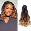 3 Tone French Curl Braiding Hair 10 Inch Curly Braiding Hair Pre Stretched 8 Packs French Curl Crochet Braids for Box Braids with Curly Ends for Black Women (1B3027) view 1