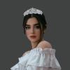 Silver Cubic Zirconia Bride Crown for Women Quinceanera Tiaras Headband Prom Party CZ Sweet 16 Wedding Headpiece Bridal Hair Accessories HB128 view 2