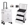 GRRICEPL Travelling Trolley Box with LED Light, Rolling Makeup Train Case, Beauty Storage Case, with Drawers Retractable Handle 360Universal Wheels (Color : Silver-A, Size : 37x27x67cm) view 1