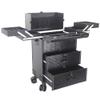GRRICEPL Rolling Makeup Train Case with Drawers Travelling Trolley Box, Professional Cosmetic Cases, with Lock Wheels (Color : Black, Size : 40x24x70cm) view 1