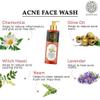 Buddha Natural Anti Acne Face Wash - Combat Acne, Nourish, Hydrate And Promote Clear Skin | Ideal For Oily Skin - Anti Acne Face Wash For Oily Skin view 3