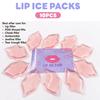(10 PCS) Lip Ice Pack Ice Compress After Lip ice Treatment, Reusable ice pad for Cosmetic, Lip Shape ice Pack to Relieve Pain and Relax Lips, Anti-Aging Lip Care ice Pack to Reduce Lip Swelling view 2