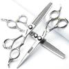 6.5 inch hairdresser scissors 440c High hardness fine pattern professional salon hairdresser hair cutting and thinning hairstyle trimming tool view 1