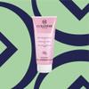 Collistar Gentle Gel Scrub Face for Sensitive Skin 100 ml, 3.3 Fl Oz, Made in Italy [italian import] view 3