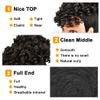 MODSIGHT Afro Puff Drawstring Ponytail with Bangs, Black Brown Kinky Curly Ponytail Bun with Bangs Updo Hairpieces, Short Afro Puffs with Bang for Black Women (Black Brown 2) view 4