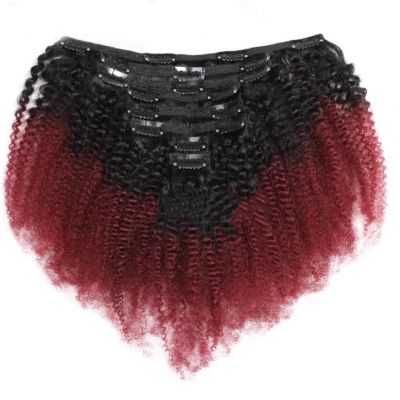 Natural Human Hair Wave Curly Clip Hair Clip in Extensions for Women Dates Cocktail Parties Work Halloween (Color : Red)