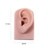 Leadigol 2PCS Silicone Ear Model, Soft Simulation Left and Right Ear Model, Fake Ear Piercing Practice Model, for Piercing Practice, Jewelry Display, Ear Piercing Teaching view 3