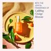 whind Oasis Bright 10% Vitamin C Serum for Brighter Skin  Radiance Boosting Dark Spot Corrector to Help Reduce Pigmentation  Brightening Face Serum for Women  All Skin Types, 30ml view 4