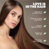 All Natural Frizz Control Shampoo and Conditioner for Frizzy Hair - Paraben & Sulfate Free Shampoo & Conditioner Set with Cupuacu, Pracaxi & Murumuru 6.8oz view 4