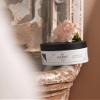 HADAT HAIR & SCALP MUD SCRUB 10.14 Fl. Oz. (300 ml) for Deep Cleansing and Removal of Impurities and Dead Cells From the Scalp. Dead Sea Mud Scrub for Hair Peeling view 4