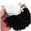 Beatifufu 2pcs Flower Hair Bun Covers for Women Hair Accessories for Stewardess Staff Comfortable view 4