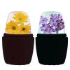 2Pack Ice Roller for Face, Qewro Silicone for Tone skin, Reusable Eye Puffiness Relief, Ice Roller Mold for Neck, Facial Roller to Remove Fine Lines Pores Anti Wrinkles (Black and Black) view 1