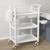 Beauty Salon Trolley Cart, 3-Tier Rolling Utility Cart with Single Drawer Mobile Spa Trolley Beauty Salon Trolley Cart Hairdressing Storage Tray for Spa Beauty Salon (Color : A) view 1