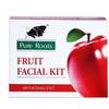 Fruit Facial Kit Natural and Organic Ingredients Suitable for All Skin Types 80 Grams with complimentry Aloe Vera Lotion view 2