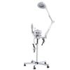 Shoppin 3-in-1 Aromatherapy Facial Steamer, 5X LED Magnifying Lamp, High Frequency Machine view 2