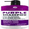 Purple Shampoo - Toner for Blonde Hair - Sulfate and Paraben Free - More Balanced Color Treated, Bleached, Silver, White and Gray Hair - No More Orange, Straw Yellow and Brassy Tones - Women and Men view 1