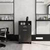 Thrinian Classic Black Rolling Salon Station Beauty Cabinet Spa Locking Storage Trolley with 2-Drawer & 2 Hair Dryer Holders & 1 Spacious Cabinet for Stylist Hair Salon Barber Shops view 4