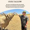 Untamed Organics Pure Tallow 100% Grass-Fed Grass-Finished Beef Tallow Balm For Skin Care - Full Body & Face Moisturizer For Sensitive Skin, Eczema - All-Purpose Pure Tallow Cream (Unscented) 2 oz view 4