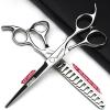 4.5/6/6.5/7/7.5 inch Professional Hair Clipper Set, Stainless Steel Sharp Hair Clippers, Exclusive for Hairdressers. (6.5-inch-2pc-A) view 2