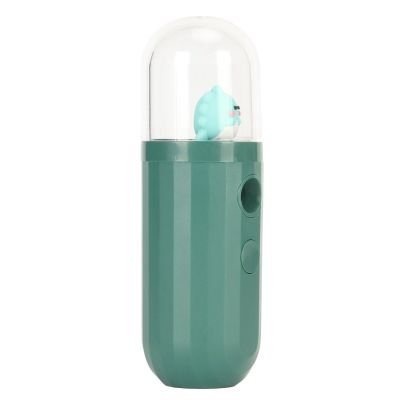 BBAUER , Relieve Sunburn Itch Mist Sprayer Handheld USB Rechargeable for Hair (Color : Green)