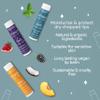 ALIDA PURE Fruit Mint Lip Balm Collection, Vegan Set, Bees Wax Free, Coconut Oil Free, with Organic Jojoba and Avocado Oil, Vitamin E, Natural Moisturizer For Dry Cracked Lips, 3 Tube Set view 2