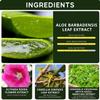 Neclar Aloe Vera Gel - for Sunburn Relief - Big 16.9 oz / 500ml - 98% Pure Aloe Vera - For Face, Skin and Hair - After Sun Care lotion - Sun Burn Moisturizer Cream (16.9 Fl oz) view 3