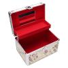 ZASCHMOY Portable Makeup Train Cases Professional Travel Makeup Bag Large Capacity Beauty Cosmetic Case Eyelashes Extension Tools Girl Makeup Brushes Toiletry Organizer view 2