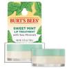 100% Natural Origin Lip Treatment with Sea Minerals Sweet Mint (Sweet Mint) view 1