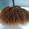 Mongolian Afro Kinky Curly Bundles Ombre Human Hair Bundles 14 16 18 Inches T1B/30 Brown 4B 4C Afro Kinky Bulk Human Hair Virgin Hair Curly Weave Bundles for Black Women Weave Weft view 3