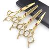 5.5/6 /7 Inch Purple Dragon Knight Professional Japanese Hair Scissors Barber Scissors Set (6 inch 4pc) view 1