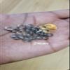 Bead It Wear It Love It 10 Stainless Steel Hair Beads for Loc Braids Twist and Natural Hair, Loc Beads, Dreadlock Hair Accessories, Loc Jewelry (5mm, Silver) view 2