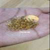 Bead It Wear It Love It 10 Stainless Steel Hair Beads for Loc Braids Twist and Natural Hair, Loc Beads, Dreadlock Hair Accessories, Loc Jewelry (3mm, Gold) view 2