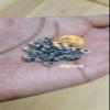 Bead It Wear It Love It 10 Stainless Steel Hair Beads for Loc Braids Twist and Natural Hair, Loc Beads, Dreadlock Hair Accessories, Loc Jewelry (4mm, Silver) view 2