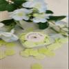 4 packs (320 flakes) Disposable Paper Soap Portable,Petal Soap Sheets, Portable and Dissolvable Soap Paper view 4