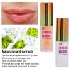 Lip Plumper, with Ginger and Mint, Fuller Lips, Lip Care, Silky Shine, Lip Booster & Lip Care for Fuller Lips, Clear & Soft, Daily Lip Care 2-pack view 3