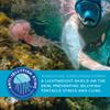 Seavenger Ocean Kiss Reef-Safe Sunscreen SPF 30-50 with Jellyfish Sting Protection (SPF 30), pack of 6 view 4