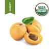 1 Gallon USDA Organic Cold Pressed Unrefined Apricot Kernel Oil view 3