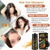 Black 3-in-1 Hair Dye for Men & Women - Long-Lasting Gray Hair Coverage, Shampoo Para Canas, Natural Color in Minutes - 16.9 Fl Oz view 3