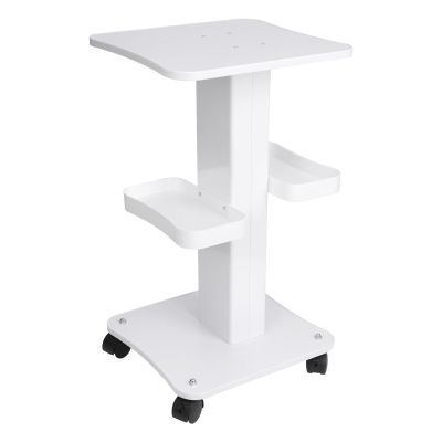 Upgrade Esthetician Beauty Trolley Cart with Wheels and 2 Trays, 4 Tier Beauty Rolling Cart, Spa Salon, Beauty Machine Trolley, Load 135lbs, 26.7 x 13.8 x 15 inch