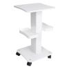 Upgrade Esthetician Beauty Trolley Cart with Wheels and 2 Trays, 4 Tier Beauty Rolling Cart, Spa Salon, Beauty Machine Trolley, Load 135lbs, 26.7 x 13.8 x 15 inch view 1